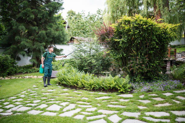 Best Local Pest Control Services  in Redby, MN