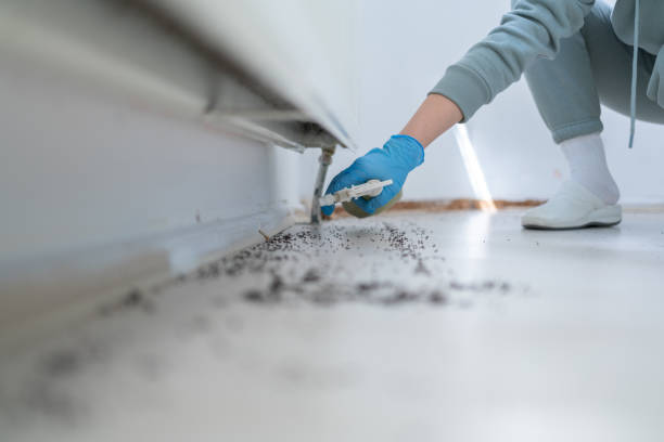 Best Affordable Pest Control Services  in Redby, MN